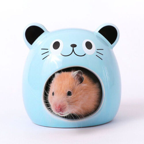 hamster house bed Ceramic House for Hamster Small Pet Hiding Place Summer CQ - Picture 4 of 17