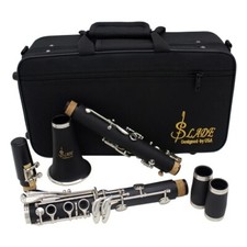 Bb Clarinet 17 Keys Bakelite Wooden Professional Woodwind Tenor Clarinet Box