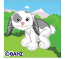 Webkinz Classic Floppy Eared Bunny CODE