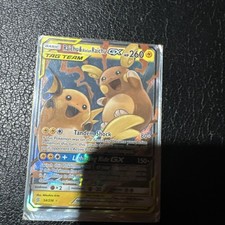 Pikachu And Raich