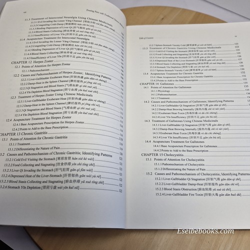 Treating Pain with Traditional Chinese Medicine by Dagmar Riley - paperback - Picture 11 of 18