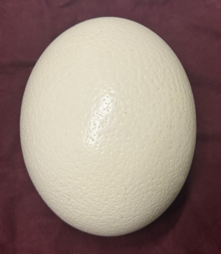 Vintage Hand Painted Ostrich Egg Ornament Bluebird on Dogwood OOAK - Picture 3 of 5