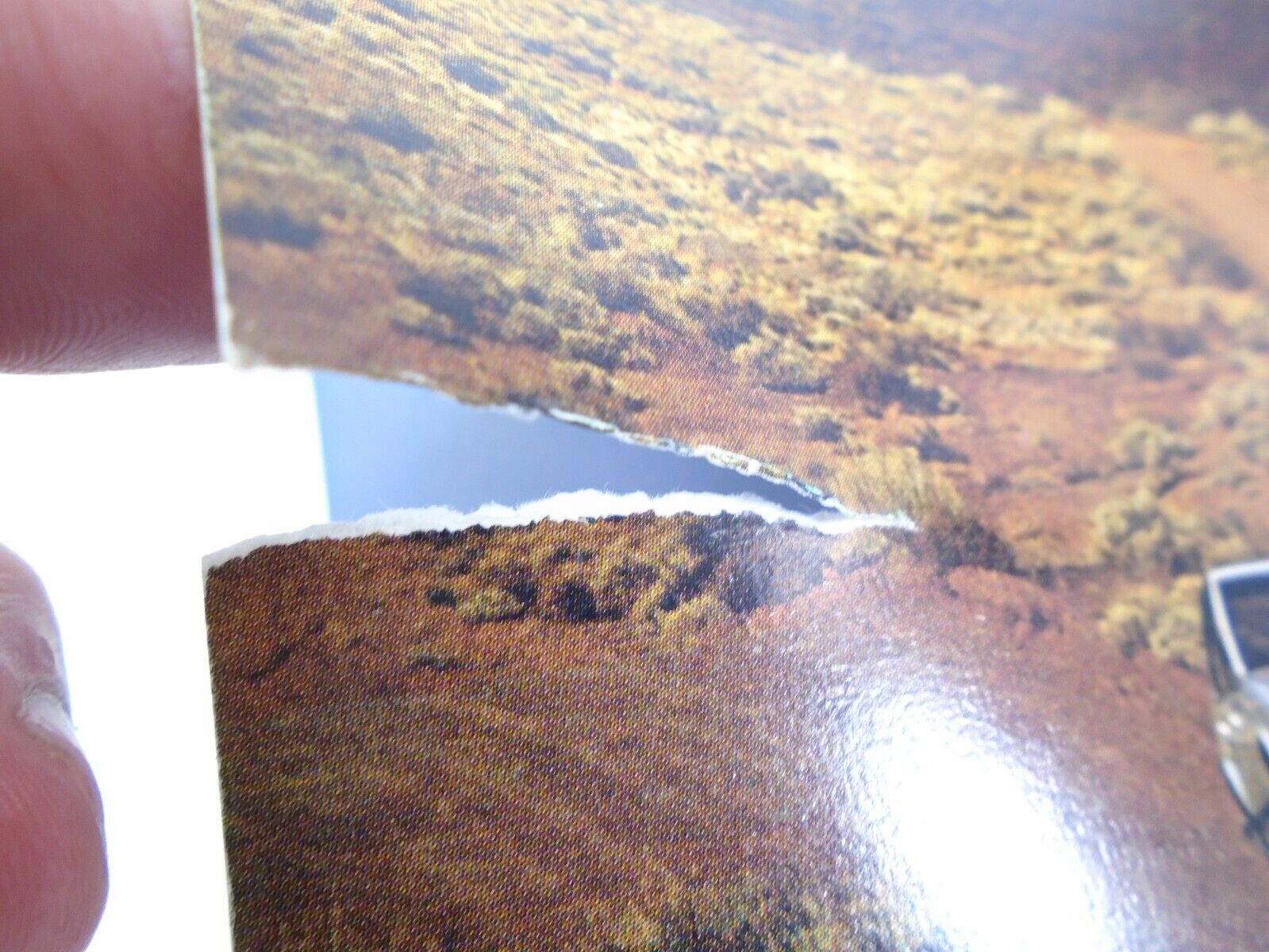 Picture 6 of 6