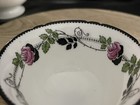 Picture 7 of 20