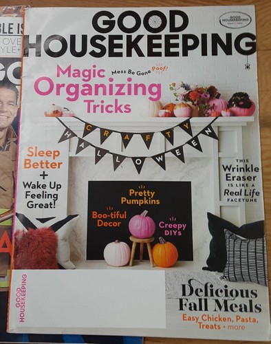 7 Good Housekeeping magazines Mar 2018 March April Oct Nov Dec 2019 Jan/Feb 2020 - Foto 11 di 19