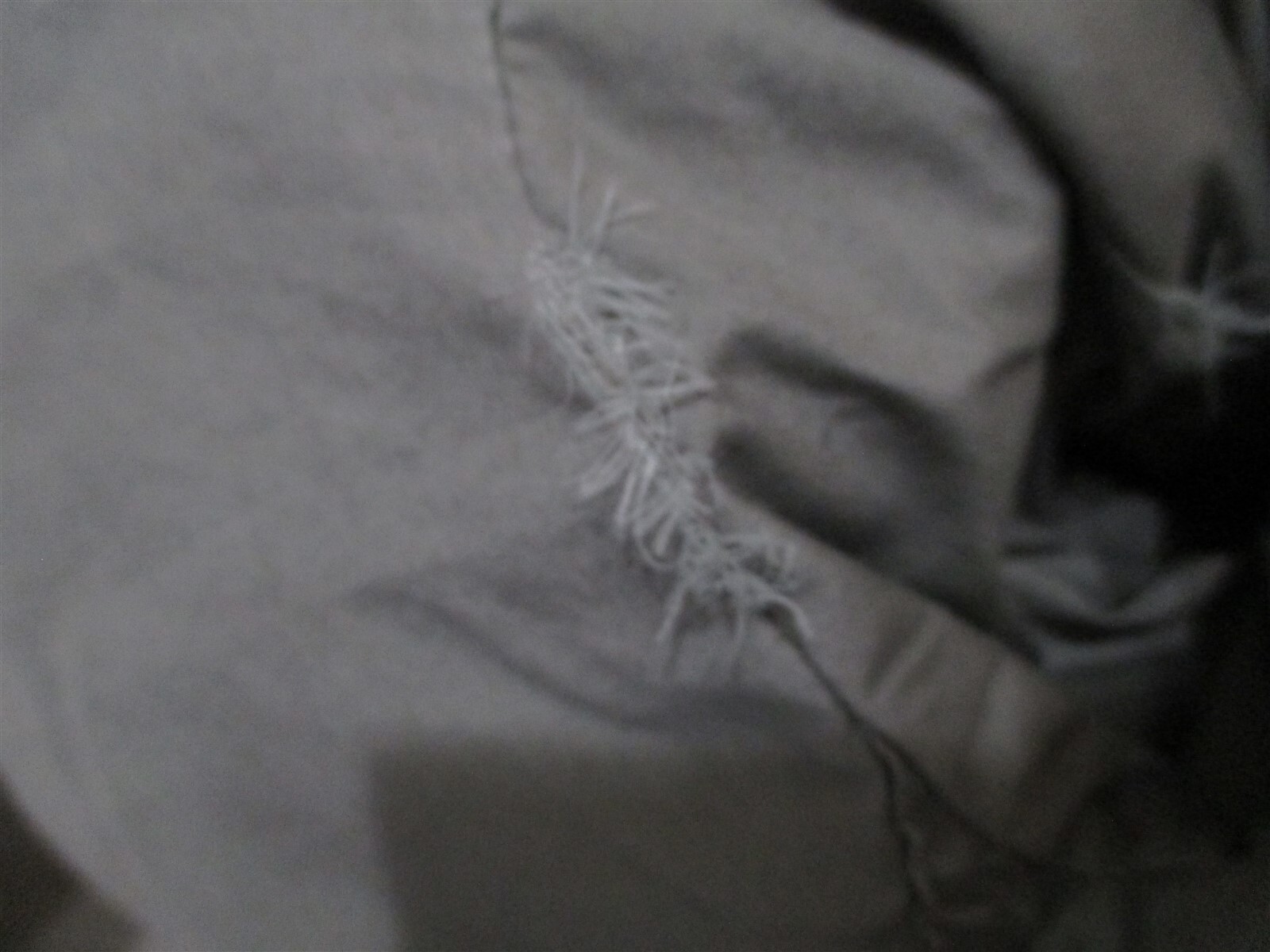 Picture 4 of 4