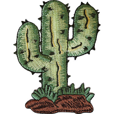 Kaktus Bügelbild Patch / Aufnähen Kleidung Jacke Jeans Tasche Pflanze bestickt Abzeichen