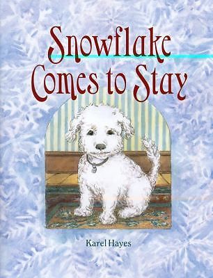 Snowflake Comes to Stay by Hayes, Karel - Bild 1 von 1