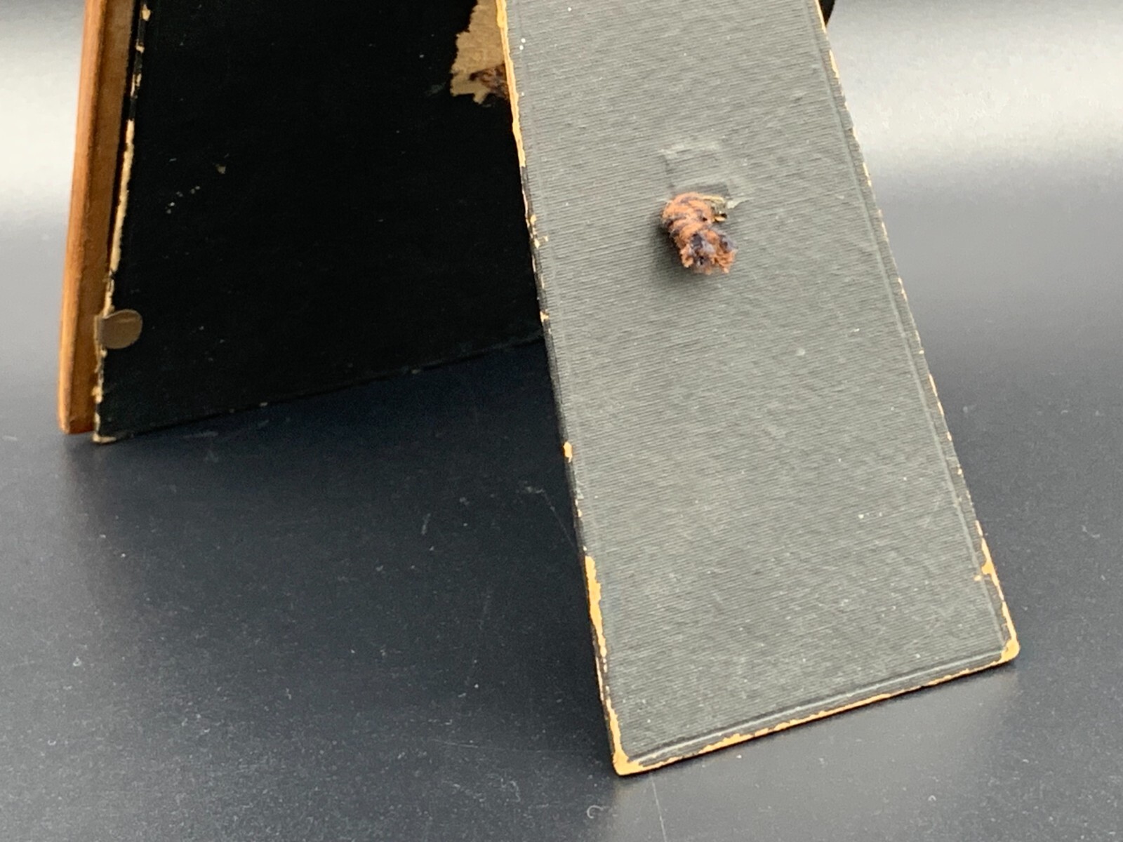 Picture 6 of 13