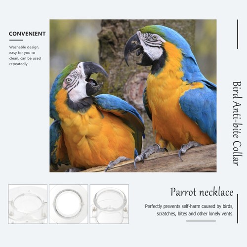 Parrot Neckband Bird Collar vendu Anti-Beiß-Kragen Vogelhalsband Für Haustiere