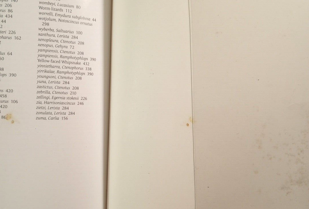 Picture 6 of 8