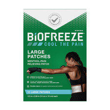 Large Pain Relief Patches, Menthol Pain Patches for Lower Back, Neck, Knee,  Sh