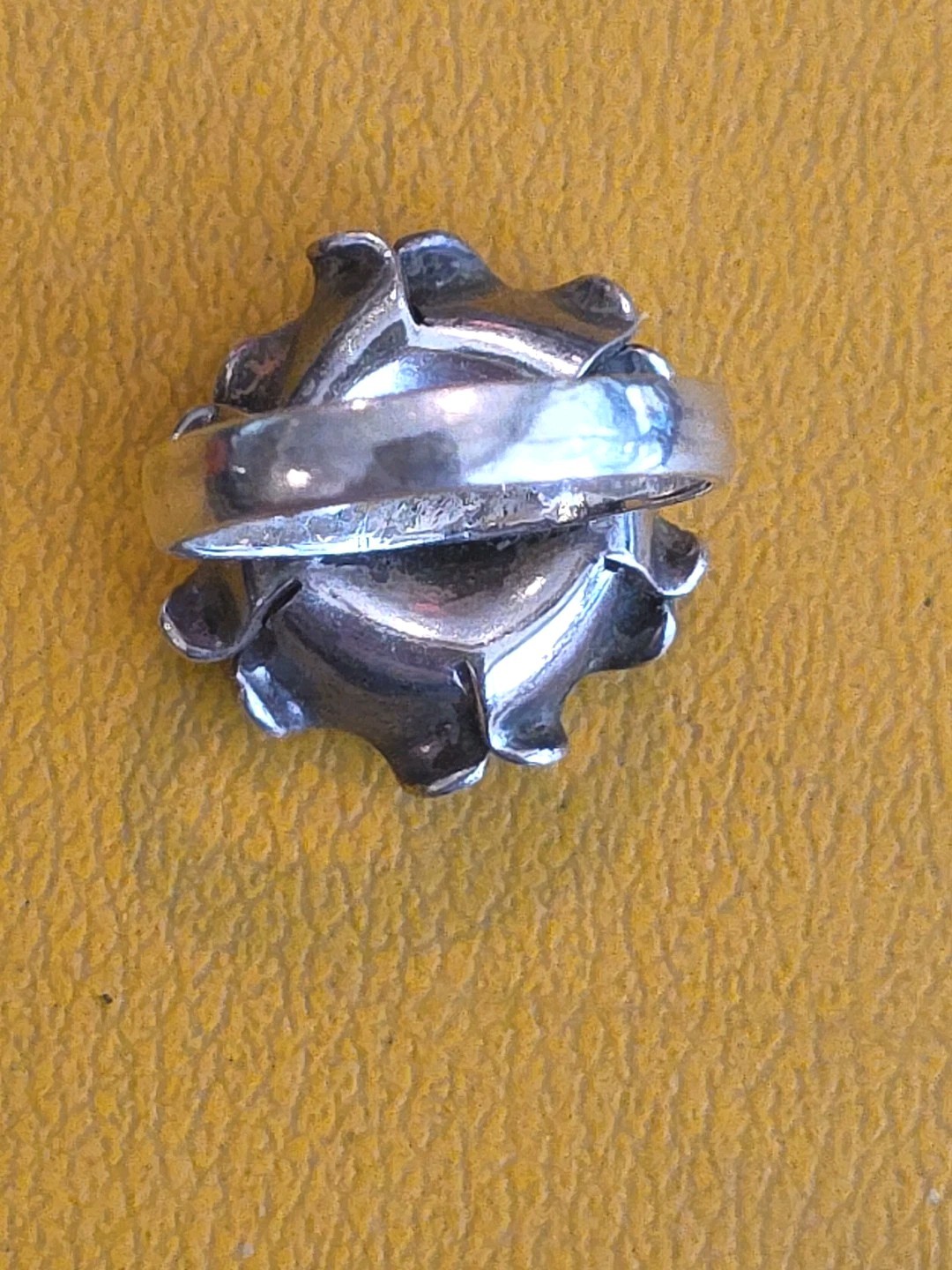 Picture 5 of 6