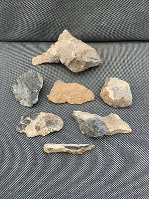 Diverse unbekannte Dinosaurierknochen, unpräpariertes seltenes Fossil, Kreide, Marokko