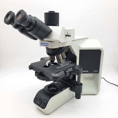 Olympus Microscope BX43 LED with Fluorites, Phase Contrast, and Trinocular Head