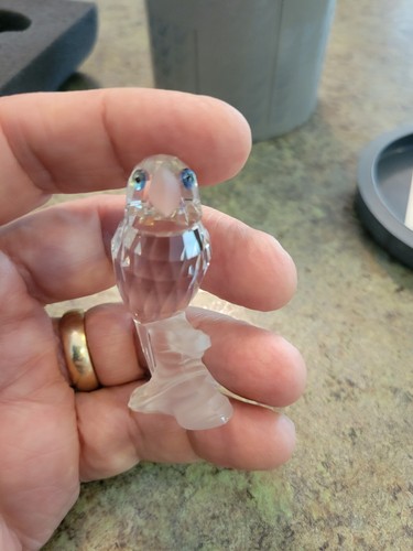 Pájaro loro de cristal SWAROVSKI con caja de 2" de alto 7621 NR 000 004 119443 en árboles - Imagen 11 de 12