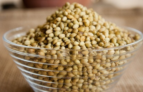100 x CORIANDER/CILANTRO SEEDS-ASIAN VEGETABLES-KITCHEN HERB-SPICE PLANT - Picture 13 of 16