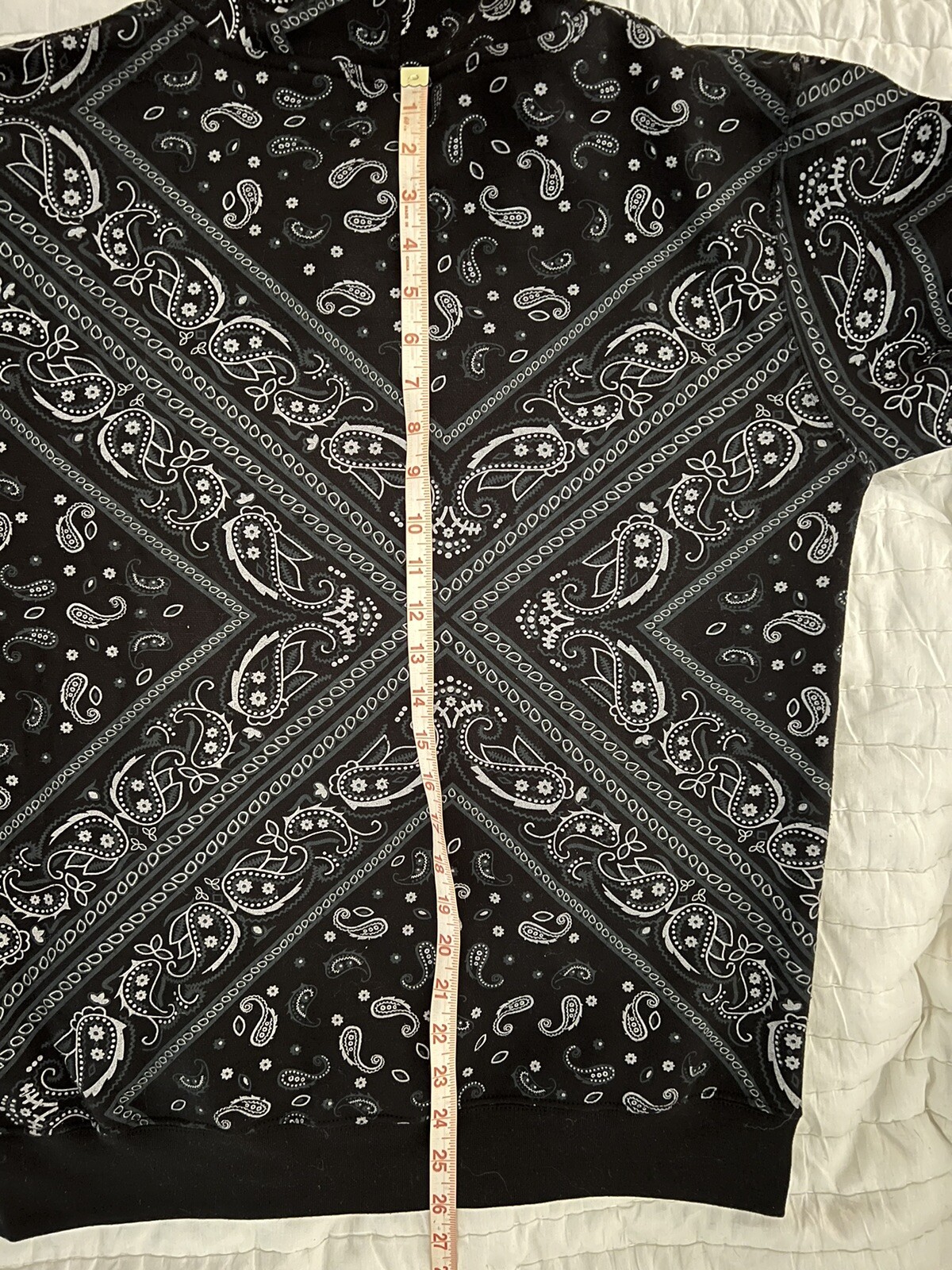 Picture 13 of 13