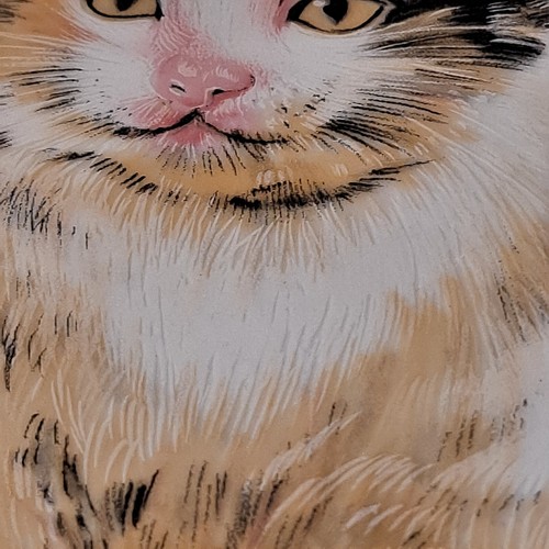 Vintage Jamestown Fine China Decorative CAT PLATE Kitten Porcelain Japan Dish - 第 14/17 張圖片