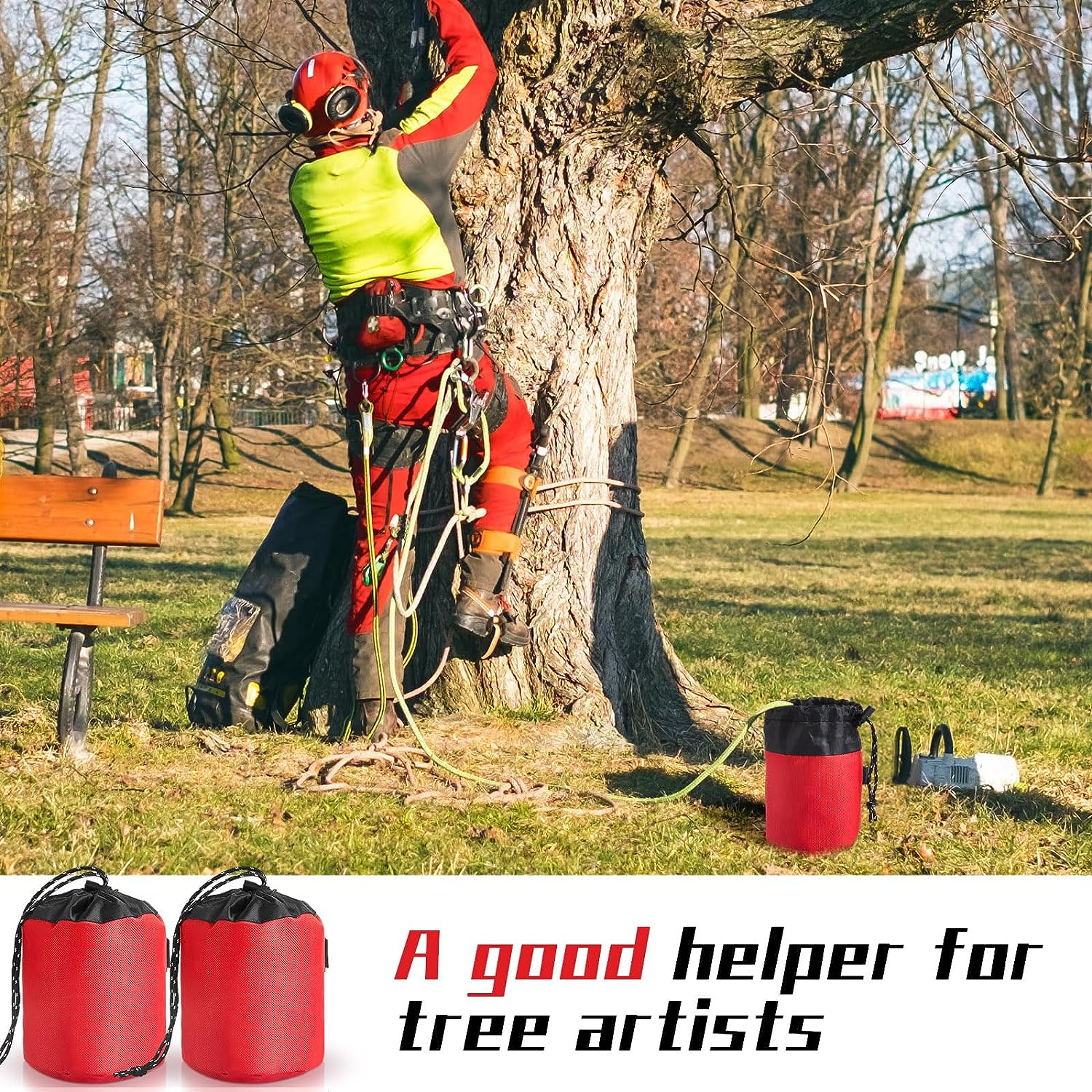 Bild 2 von 12