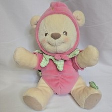 Vintage 2003 Fisher Price Nature Bearries Plush With Strawberry Outfit