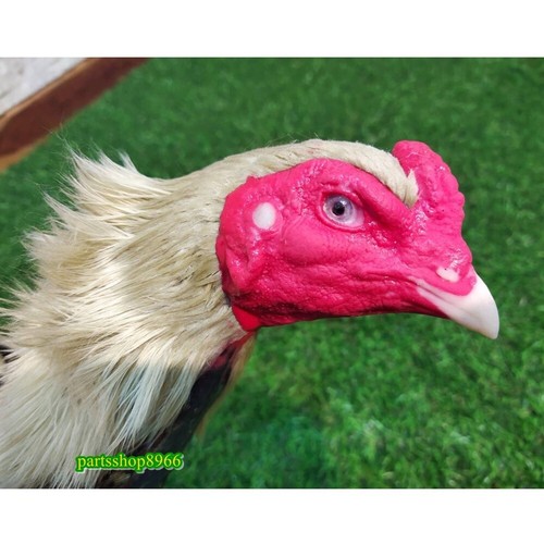 Craft Chicken Doll Rooster Cock Realistic Silicone Equipment Hanging Sport c3 - Picture 2 of 7