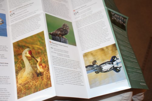 Región Sureste Idaho Birding Trail Folleto Guía Plegable Nuevo - Imagen 8 de 12