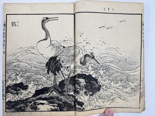 Japanese Woodblock Print Book “Ichunotsuki” Kono Bairei Bird animal 1889 - Picture 5 of 23