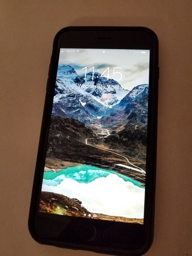 Apple iPhone 6s Plus - 64 GB - Space Gray (Sprint) for sale