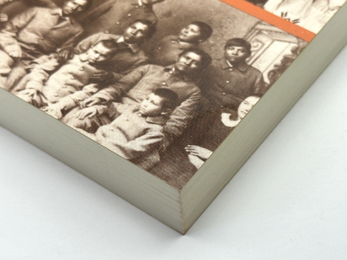 Indianer im 20. Jahrhundert von Olson, James S; Wilson, Raymond NEU - Bild 3 von 18