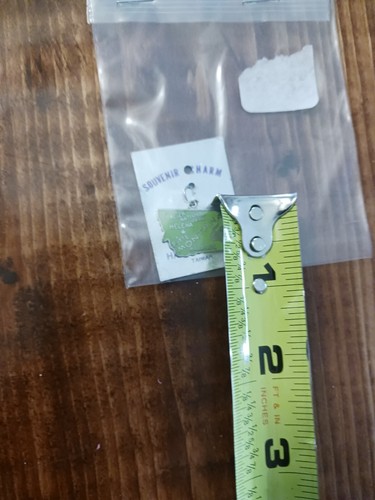 Montana Souvenir Charm Green Enamel - Picture 4 of 4