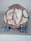 Bild 4 von 7