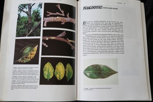 Plant Nutrient Disorders: Volume 1: Temperate & sub tropical fruit and nut crops - Picture 4 of 5
