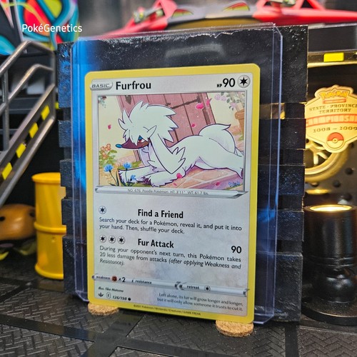 Furfrou Chilling Reign Pokémon TCG 126/198 Sword & Shield SWSH06 Common - Picture 2 of 6
