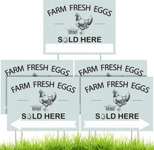 5 Pcs Farm Fresh Eggs Sold Here Sign 16 X 12 Inch Double Sided Fresh Eggs for Sa