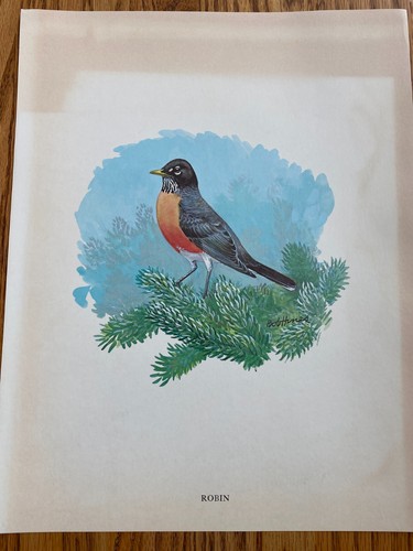 Wildlife Portrait Serie Nr. 3 Singvögel 10 Drucke von Bob Hines 11" x 14" - Bild 1 von 11