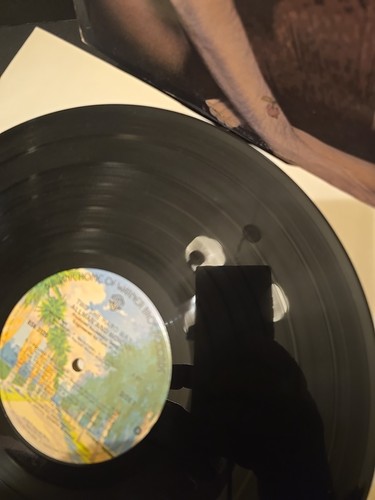 RARE PROMO Allman and Woman Vinyl Record 1977 OG NEAR MINT CONDITION 2 - Picture 5 of 12