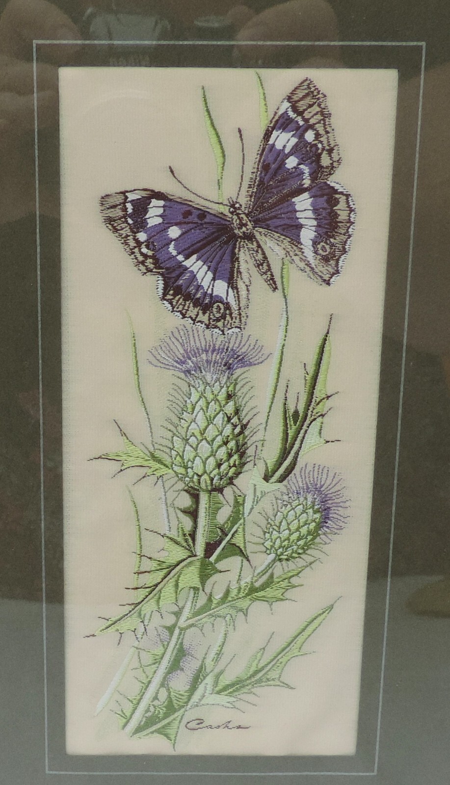 Picture 6 of 13
