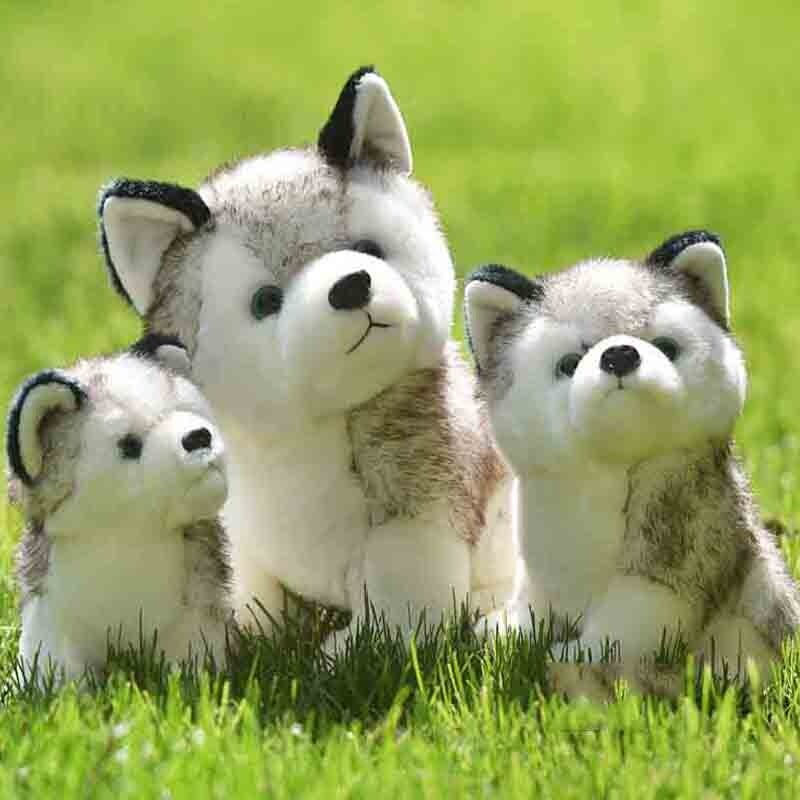 専用 Jackson Husky Dog ハスキー ぬいぐるみ 専用 Jackson Husky Dog ハスキー ぬいぐるみ Amazon.co.jp