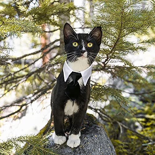 Cat Dog Tuxedo Collar, Dog Bow tie Collars, Dog Neck girth: 11.4" - 14.2" - Bild 6 von 6