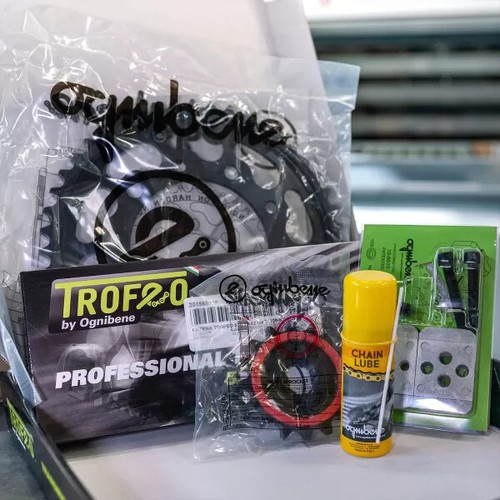 Kit trasmissione Trofeo catena 428 corona 45 pignone 15 Honda CB125F 2015-2021 - Imagen 5 de 5