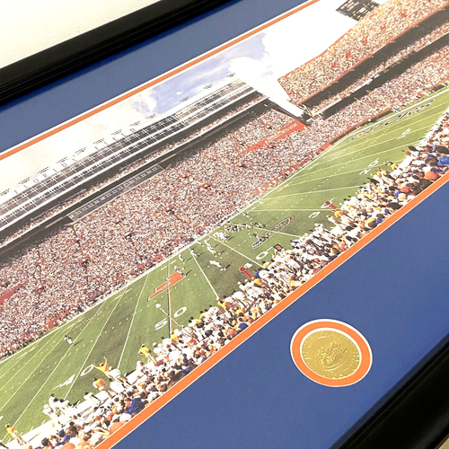 University of Florida- Ben Hill Griffin Stadium Print 42”L X 19”H Custom Framed - Picture 5 of 12