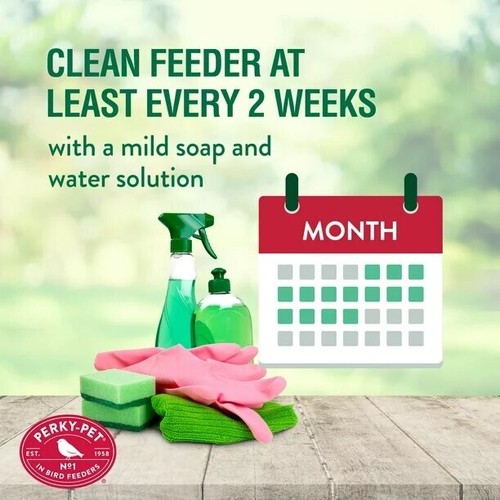 Perky-Pet 8 Unzen Pinch Taille Glas Kolibri Futterhaus - Bild 6 von 7