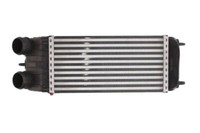 Thermotec DAC003TT LadeluftküHler TurboküHler FüR Citroen C2 C3 Peugeot 1007