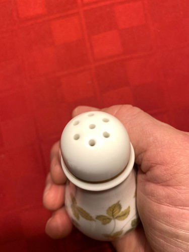 Wedgwood WILD STRAWBERRY 3 1/2" Salt & Pepper Shakers w/ brand new stoppers!!! - Picture 15 of 22