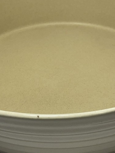 Pampered Chef Stoneware Family Heritage Vanilla Oval Baker Casserole Dish - Picture 6 of 10