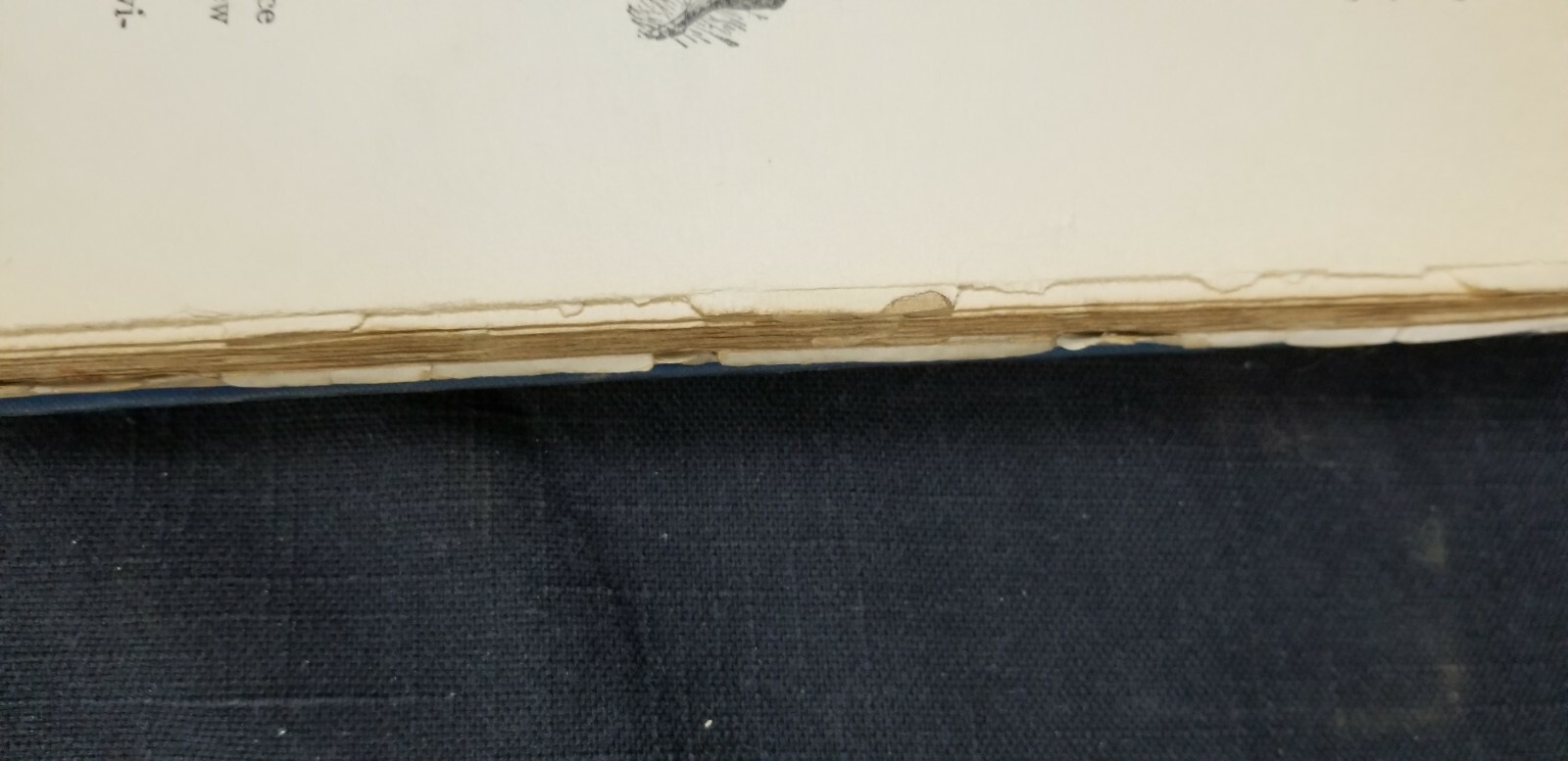 Picture 6 of 7