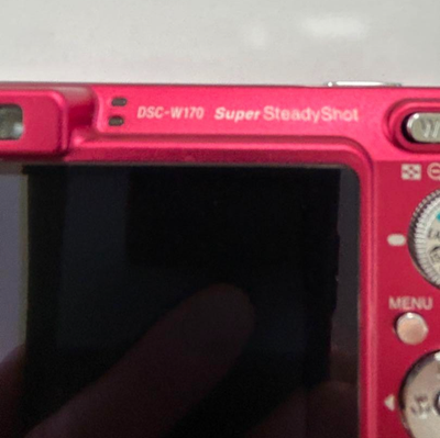 Sony Cyber shot DSC-W170 Red 10.1MP 5.0x zoom Compact Digital