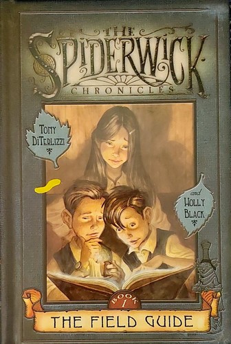 The Spiderwick Chronicles 4 Books & Beyond The Spiderwick 2 Books Hardcovers  - Picture 3 of 20