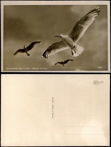 Ansichtskarte Möwen im Flug Wyk a. Föhr 1932 - Bild 1 von 3